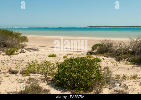Spiaggia a poco Laguna, Francois Peron NP, WA, Australia Foto Stock