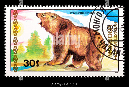 Francobollo dalla Mongolia raffigurante un orso bruno (Ursus arctos) Foto Stock