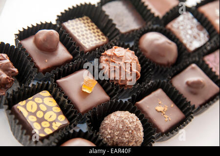 Deliziosi cioccolatini su sfondo bianco Foto Stock