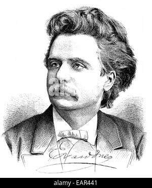 Edvard Hagerup Grieg, 1843 - 1907, un norvegese pianista e compositore del periodo romantico, Ritratto von Edvard Hagerup Grieg, 1 Foto Stock