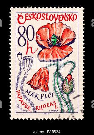 Francobollo dalla Cecoslovacchia raffiguranti comuni di papavero (Papaver rhoeas) Foto Stock