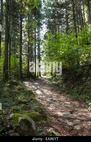 Prefettura di Nagano, Giappone Foto Stock