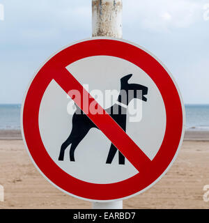 Un segno grafico che mostra i cani non sono ammessi sulla spiaggia Foto Stock