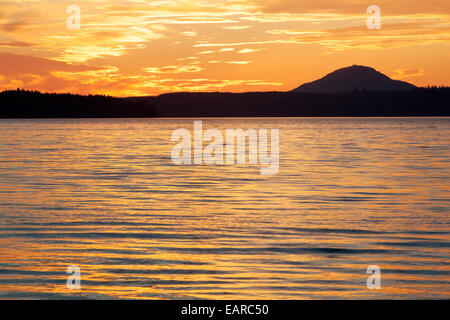 Lago quinault sulla penisola olimpica, Aberdeen, Washington, Stati Uniti Foto Stock