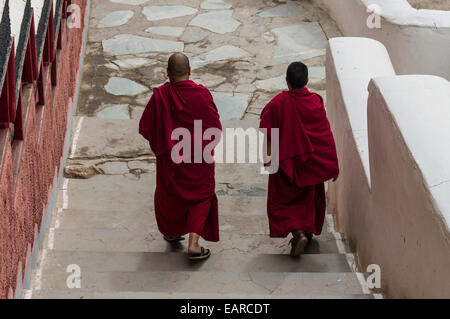 Due monaci scendendo alcuni gradini in Thiksey Gompa monastero, Ladakh, Jammu e Kashmir India Foto Stock