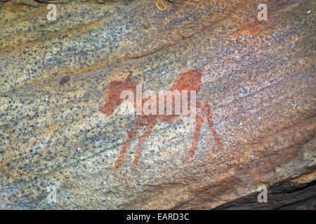 Antica arte rupestre, disegni del San le persone, i popoli indigeni del Sud Africa, Sevilla Arte Rock Trail, Cederberg mountains Foto Stock