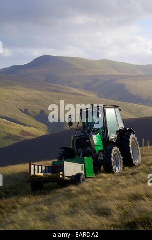 Trasporto del trattore pali da recinzione coinvolti nelle aree montane scherma il lavoro. Mitton Hill, Carrock cadde, Cumbria, Inghilterra, Regno Unito. Foto Stock