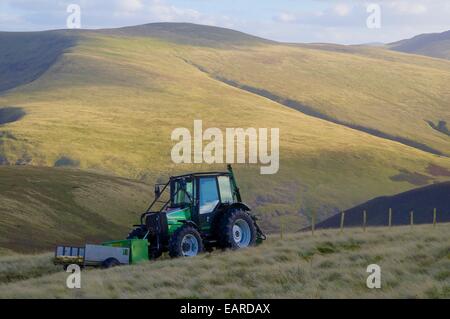 Trasporto del trattore pali da recinzione coinvolti nelle aree montane scherma il lavoro. Mitton Hill, Carrock cadde, Cumbria, Inghilterra, Regno Unito. Foto Stock