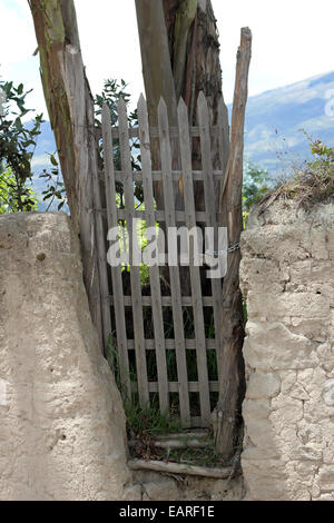 Un cancello di legno in un adobe parete accanto a un campo in Cotacachi, Ecuador Foto Stock