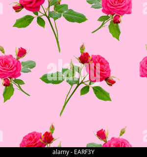 Floral red rose seamless pattern su sfondo rosa Foto Stock