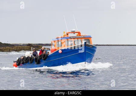 Un viaggio all'interno farne su una barca Foto Stock