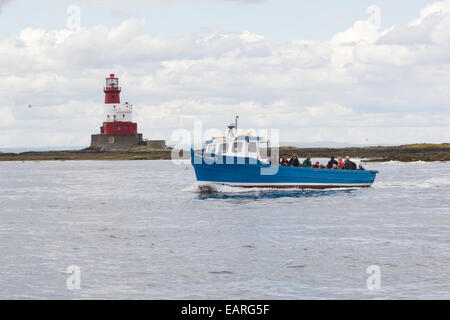 Un viaggio all'interno farne su una barca Foto Stock