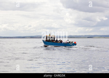 Un viaggio all'interno farne su una barca Foto Stock