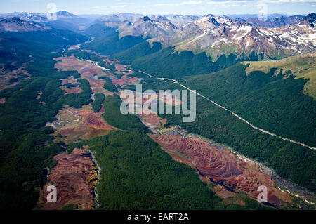 La Panamericana taglia lungo una valle delle Ande e del bosco di faggio. Foto Stock