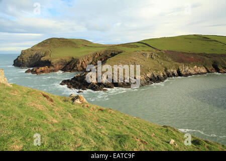 Testa Kellan, Porta Quin, North Cornwall, England, Regno Unito Foto Stock