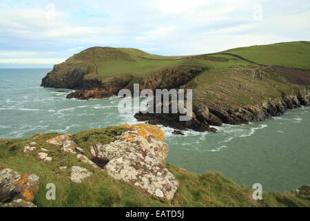 Testa Kellan, Porta Quin, North Cornwall, England, Regno Unito Foto Stock