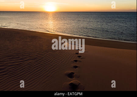 Footprints conducono una duna di sabbia al tramonto di un oceano deserta spiaggia. Foto Stock