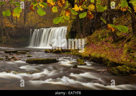 Scwd Ddwil, vicino Pontneddfechan, Ystradfellte, Parco Nazionale di Brecon Beacons, Galles, Powys, Regno Unito, Gran Bretagna Foto Stock