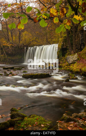 Scwd Ddwil, vicino Pontneddfechan, Ystradfellte, Parco Nazionale di Brecon Beacons, Galles, Powys, Regno Unito, Gran Bretagna Foto Stock