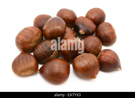 Le castagne in gusci, isolato su uno sfondo bianco Foto Stock