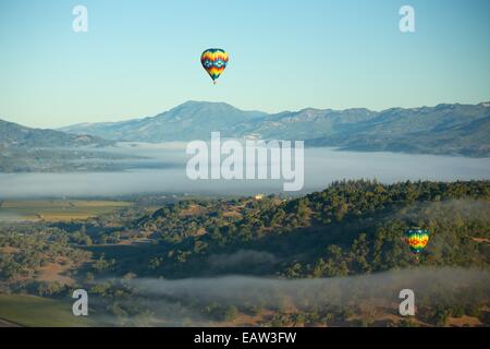 Voli in mongolfiera nella Napa Valley, California il famoso wine country. Foto Stock