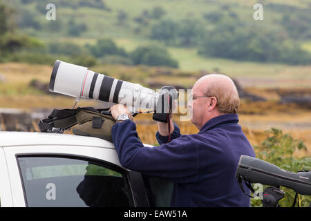 Un uomo fotografare aquile di mare a Mull, Scotland, Regno Unito. Foto Stock