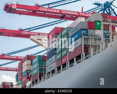 La nave cargo " COSCO speranza" (142'000 tonnellate di stazza lorda) viene caricata al terminale per container Tollerort nel porto di Amburgo, Germania. Foto Stock