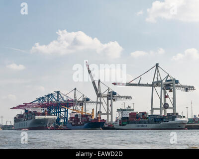 Tre navi cargo sono caricati al terminale per container Tollerort nel porto di Amburgo, Germania. Foto Stock