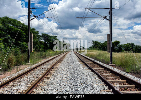 Dual binari ferroviari marzo attraverso la piatta veld verso Pretoria. Foto Stock