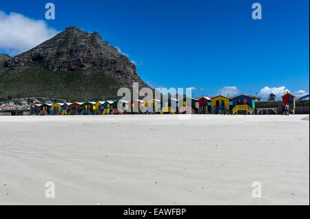 Colorate scatole di balneazione su palafitte sulla spiaggia in estate. Foto Stock