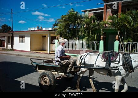 Un uomo aziona un carrello a cavallo attraverso le strade di Trinidad, Cuba. Foto Stock