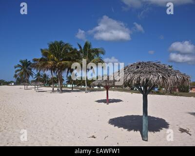 Le palme crescono su Playa Giron, il sito di invasione di Baia dei Porci. Foto Stock