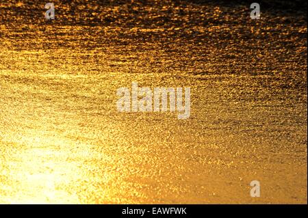 Alba la luce del sole si riflette spiaggia di sabbia. Foto Stock