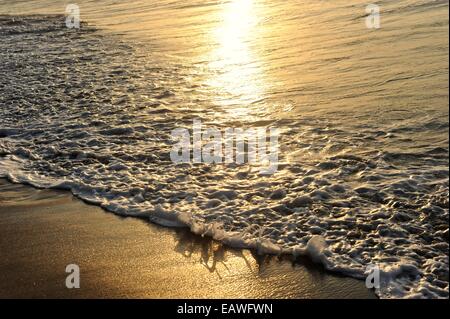 La luce del sole si riflette il surf a sunrise. Foto Stock