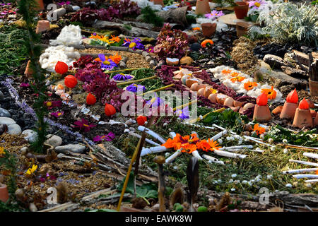 Mandala vegetale. Foto Stock