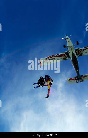 Skydiving Freefly team è saltato fuori da un aereo e rendere la formazione skydive il salto. Foto Stock