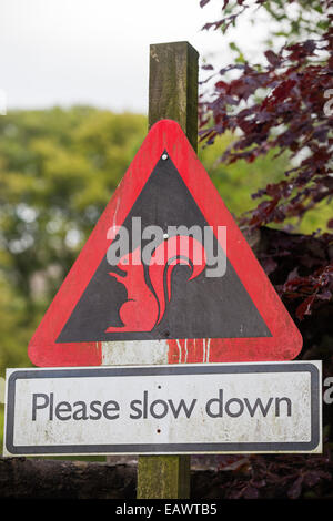 Uno scoiattolo rosso segno di avvertimento per gli automobilisti nel distretto del lago, UK. Foto Stock