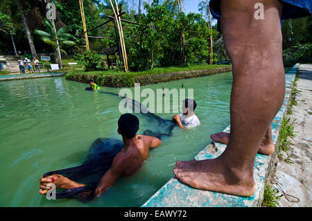 Park Rangers e di mammifero marino esperti catturare un Amazon delfini di fiume per spostarla in una nuova piscina. Foto Stock