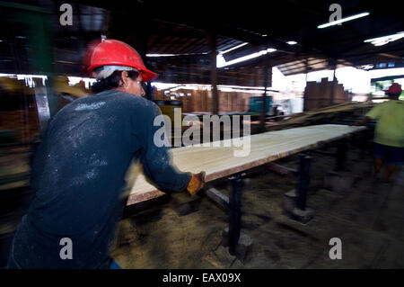 Operai di alimentazione listoni di legno in una sega a nastro in una registrazione amazzonica mulino. Foto Stock