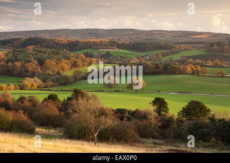 Vista su Albury e il Surrey Hills Dal Newlands Corner sulla North Downs. Surrey, Inghilterra, Regno Unito Foto Stock