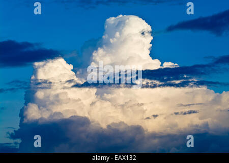 White thunderhead billow nuvole in cielo come una tempesta infusi al di sopra della foresta pluviale amazzonica. Foto Stock