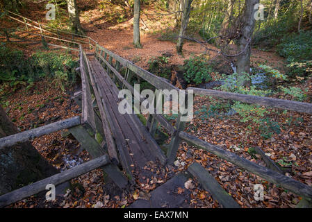 Passerella in legno a Edale sul percorso Grindsbrook Clough del Peak District. Foto Stock