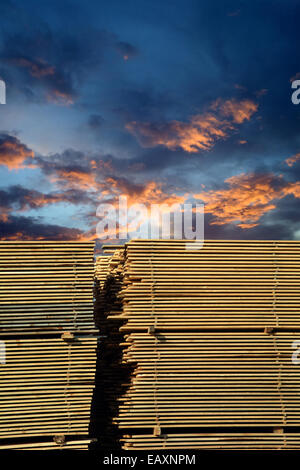 Legname impilato con un bel tramonto dietro. Foto Stock