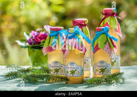 Bottiglie con pini e sciroppo di limone in giardino Foto Stock