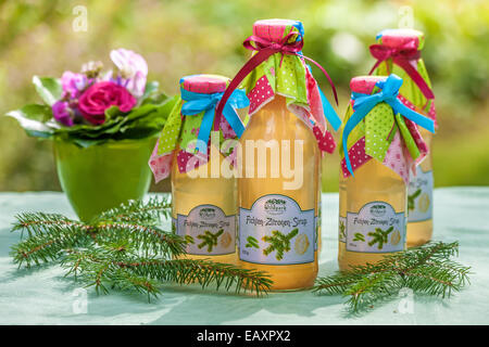 Bottiglie con pini e sciroppo di limone in giardino Foto Stock