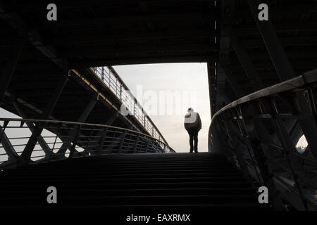 Parigi, Francia. Xxi Nov, 2014. Varcando il fiume Senna su passerelle Leopold -Sedar-Senghor bridge. Costruzione moderna e insolito livello due costruzioni. Credito: Paolo Quayle/Alamy Live News Foto Stock