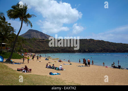 Spiaggia di Hanauma Bay Nature Preserve, Oahu, Hawaii, STATI UNITI D'AMERICA Foto Stock