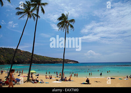 Spiaggia di Hanauma Bay Nature Preserve (in antico cratere vulcanico), Oahu, Hawaii, STATI UNITI D'AMERICA Foto Stock