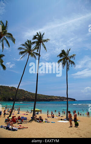 Spiaggia di Hanauma Bay Nature Preserve (in antico cratere vulcanico), Oahu, Hawaii, STATI UNITI D'AMERICA Foto Stock