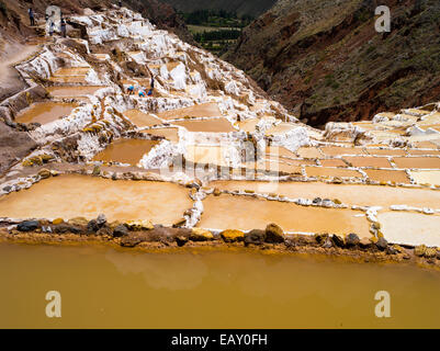 Vista di Salinas de maras (maras saline), vicino a Cusco, Perù. Foto Stock